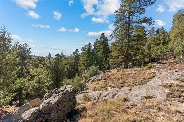 7153 Silverhorn Drive Evergreen, CO 80439