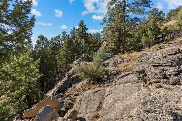7153 Silverhorn Drive Evergreen, CO 80439