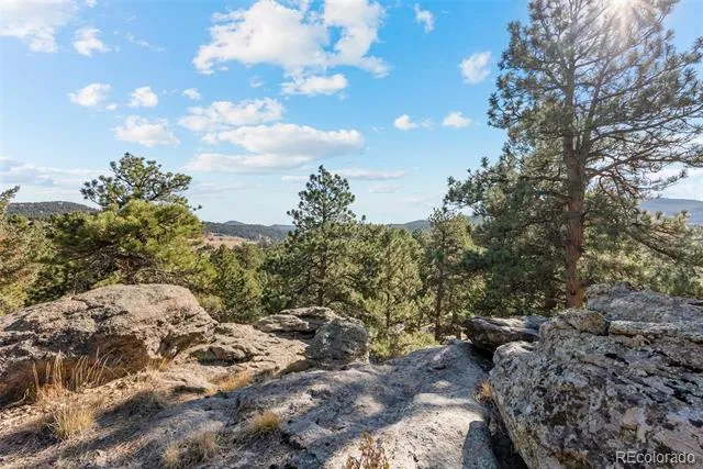 7153 Silverhorn Drive Evergreen, CO 80439