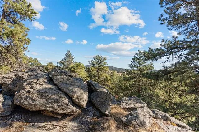 7153 Silverhorn Drive Evergreen, CO 80439