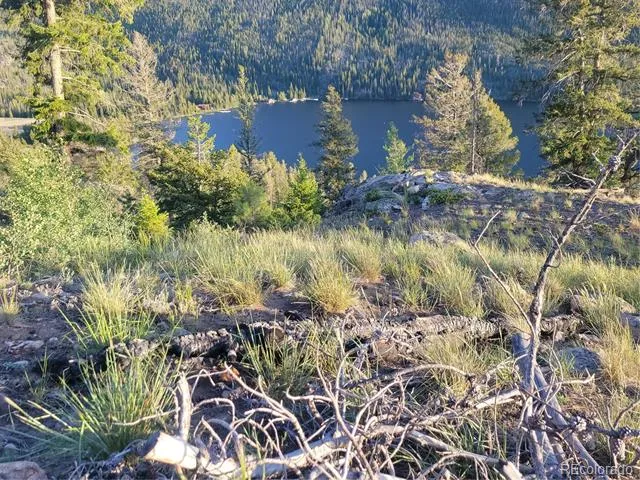 2015 W Portal Grand Lake, CO 80447