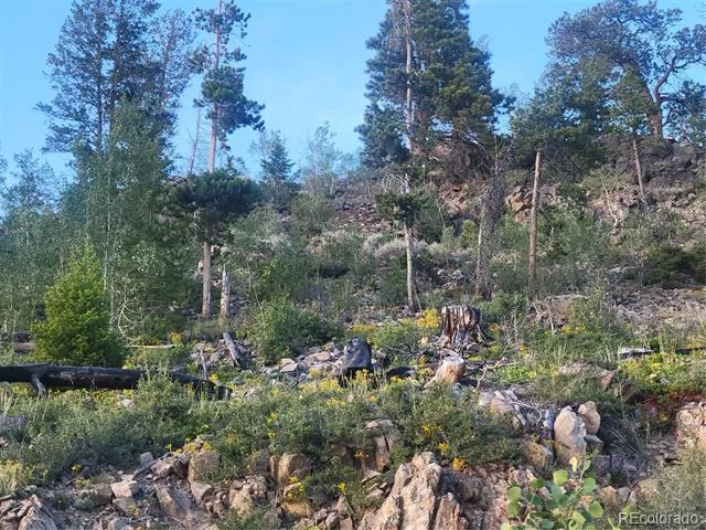 2015 W Portal Grand Lake, CO 80447