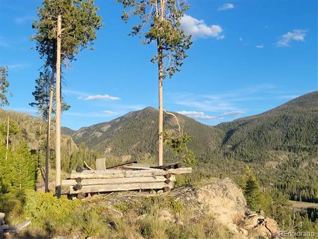 2015 W Portal Grand Lake, CO 80447