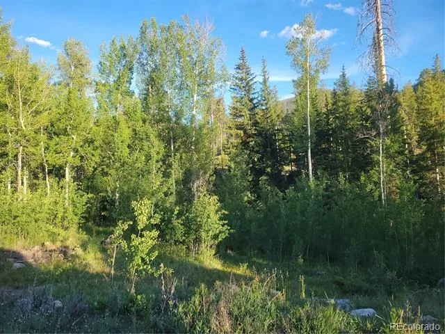 2015 W Portal Grand Lake, CO 80447