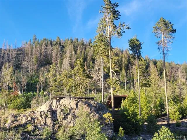 2015 W Portal Grand Lake, CO 80447