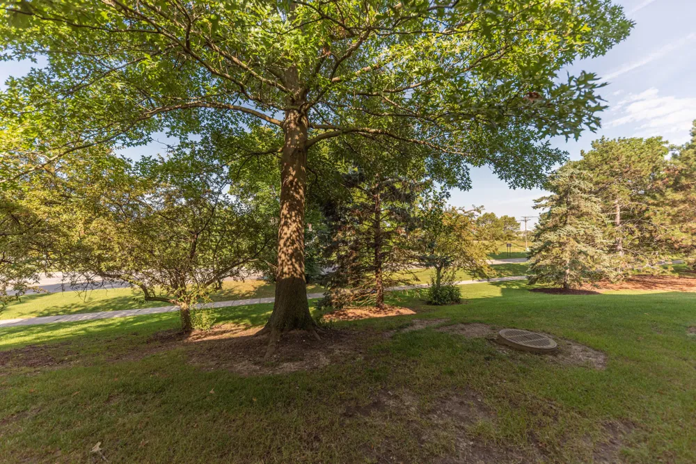 1486 Fox Pointe Circle Ann Arbor, MI 48108