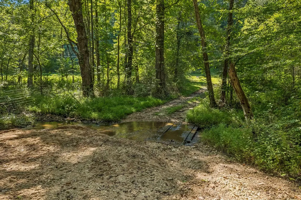 648 Tottys Bend Loop Duck River, TN 38454