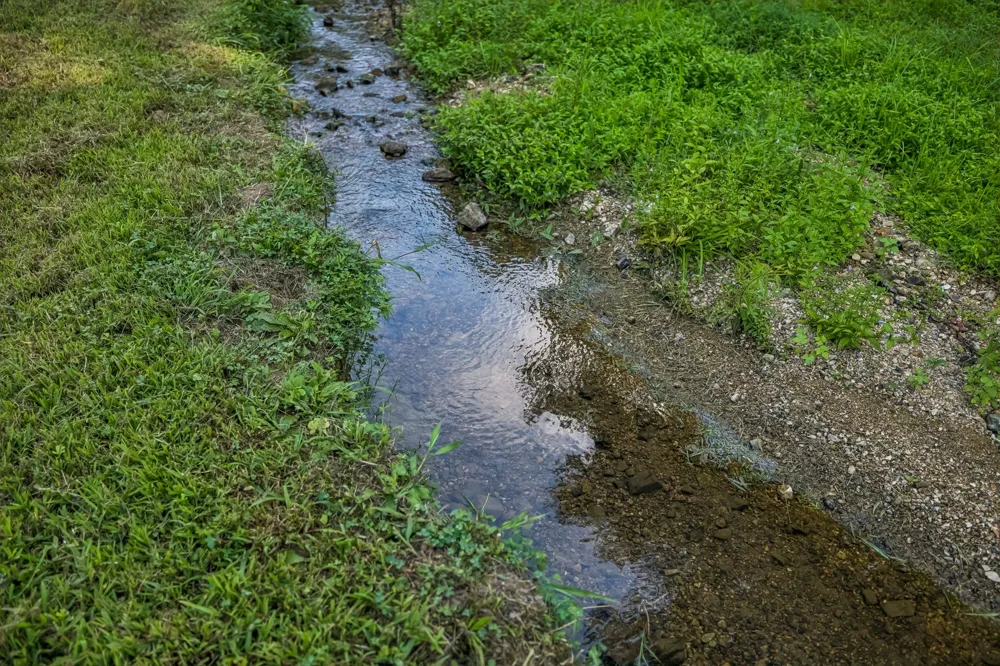 648 Tottys Bend Loop Duck River, TN 38454