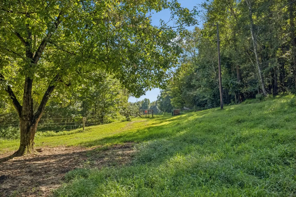 648 Tottys Bend Loop Duck River, TN 38454
