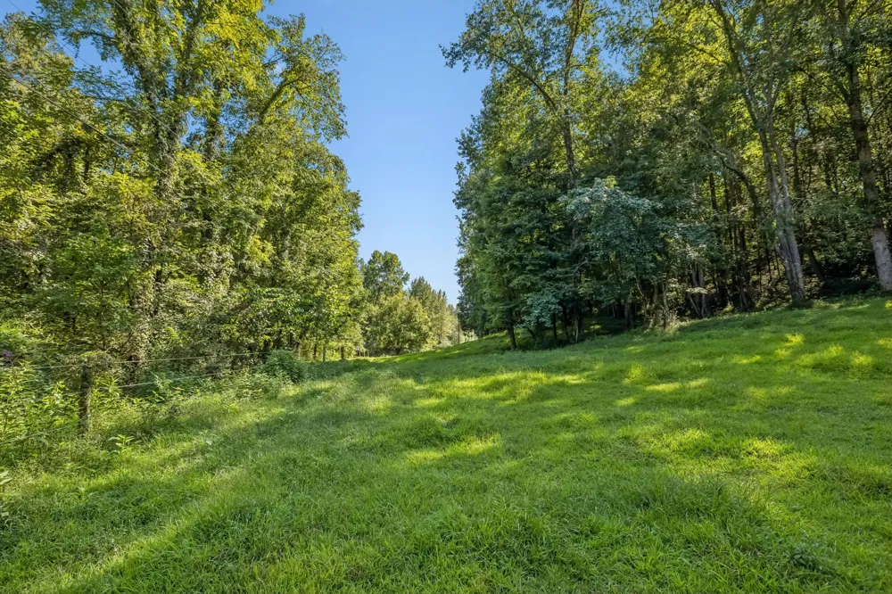 648 Tottys Bend Loop Duck River, TN 38454