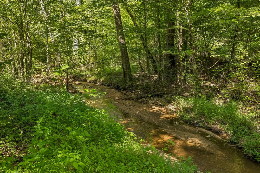 648 Tottys Bend Loop Duck River, TN 38454