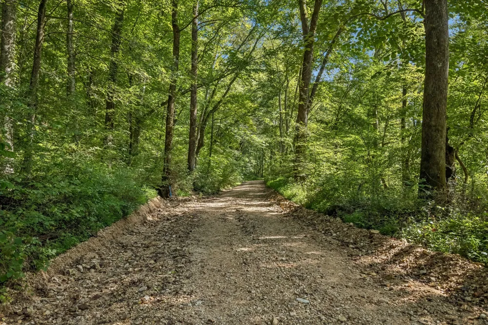 648 Tottys Bend Loop Duck River, TN 38454