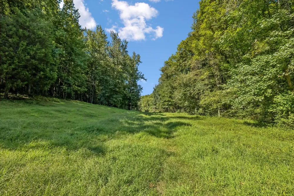 648 Tottys Bend Loop Duck River, TN 38454
