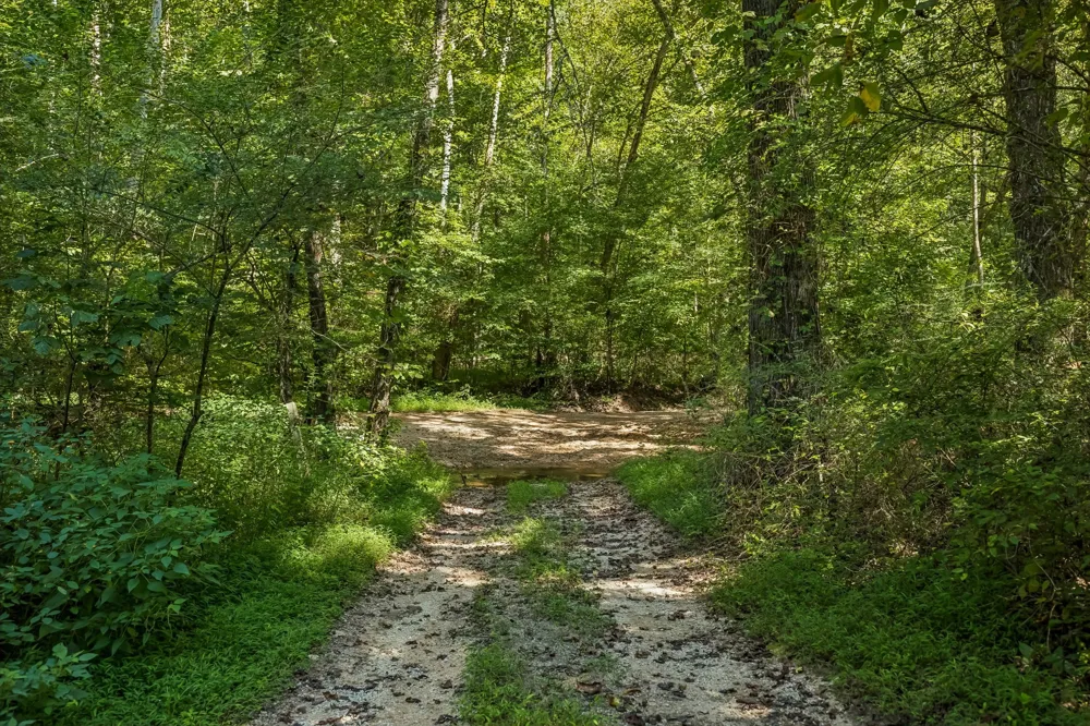648 Tottys Bend Loop Duck River, TN 38454