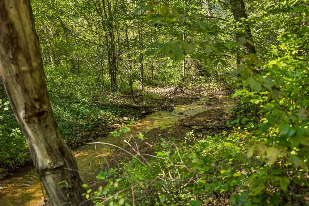 648 Tottys Bend Loop Duck River, TN 38454