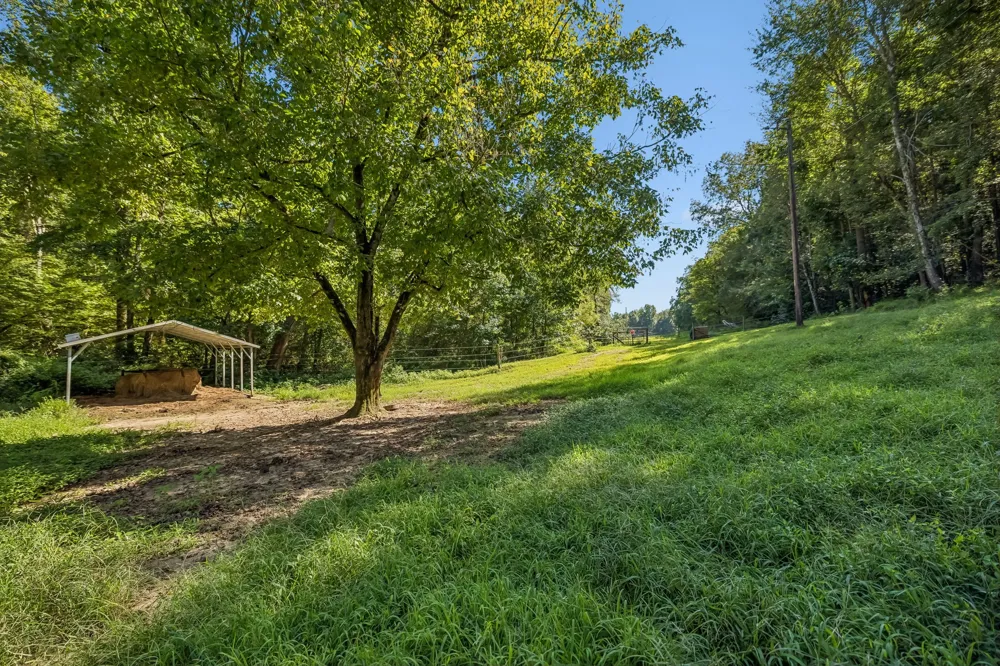 648 Tottys Bend Loop Duck River, TN 38454