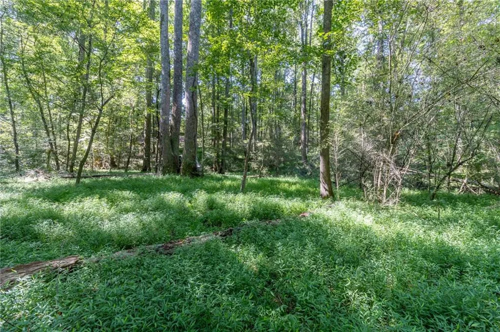 16 Peek Drive Carrollton, GA 30116