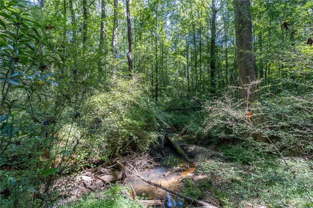 16 Peek Drive Carrollton, GA 30116