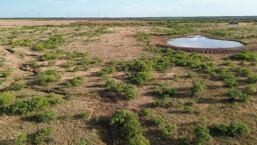 CR 218 Seymour, TX 76380