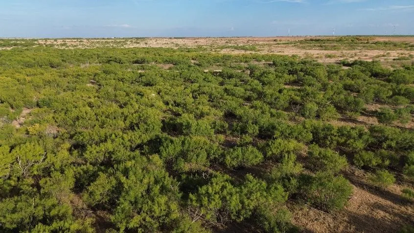 CR 218 Seymour, TX 76380
