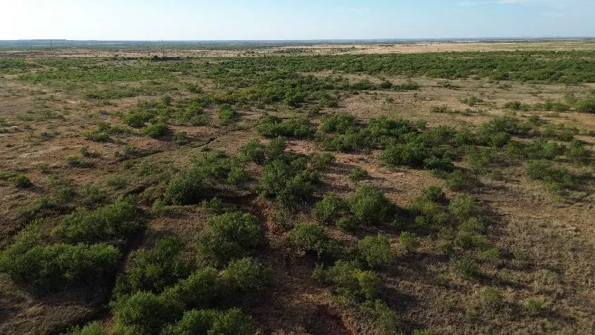 CR 218 Seymour, TX 76380