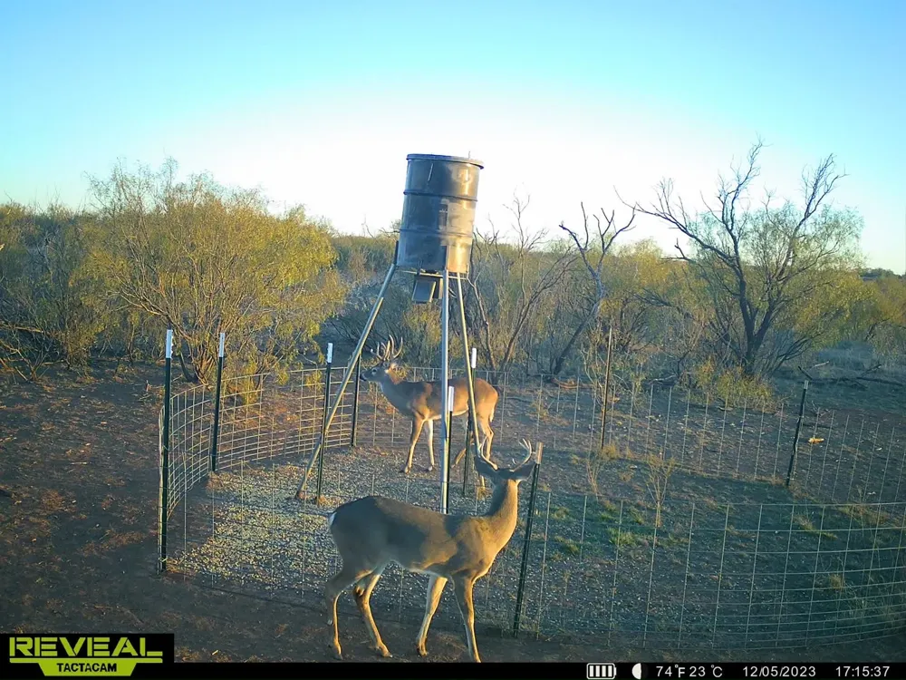 CR 218 Seymour, TX 76380