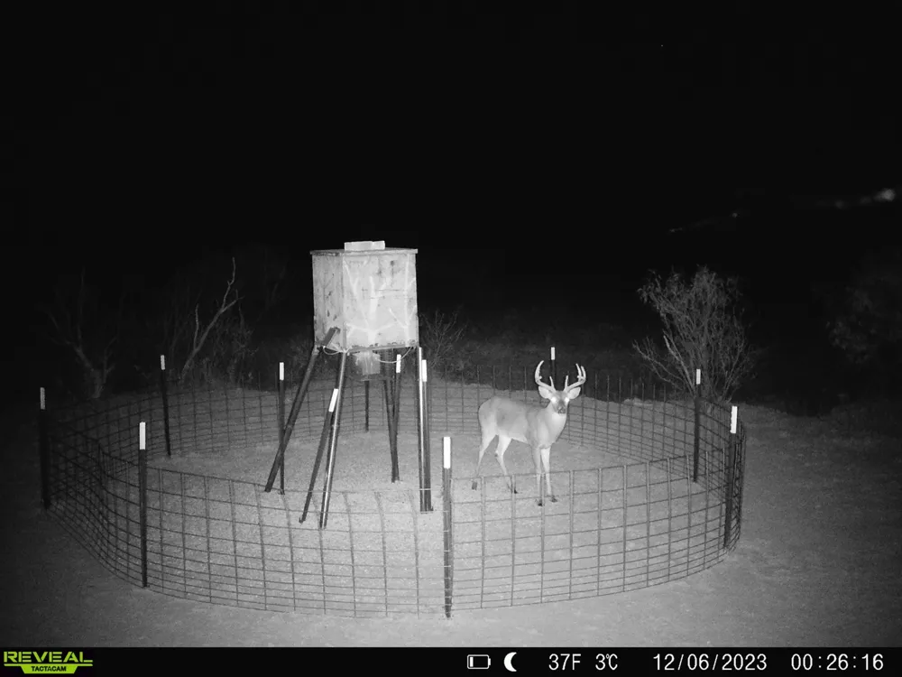 CR 218 Seymour, TX 76380