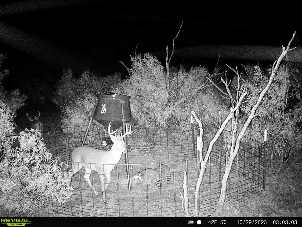 CR 218 Seymour, TX 76380