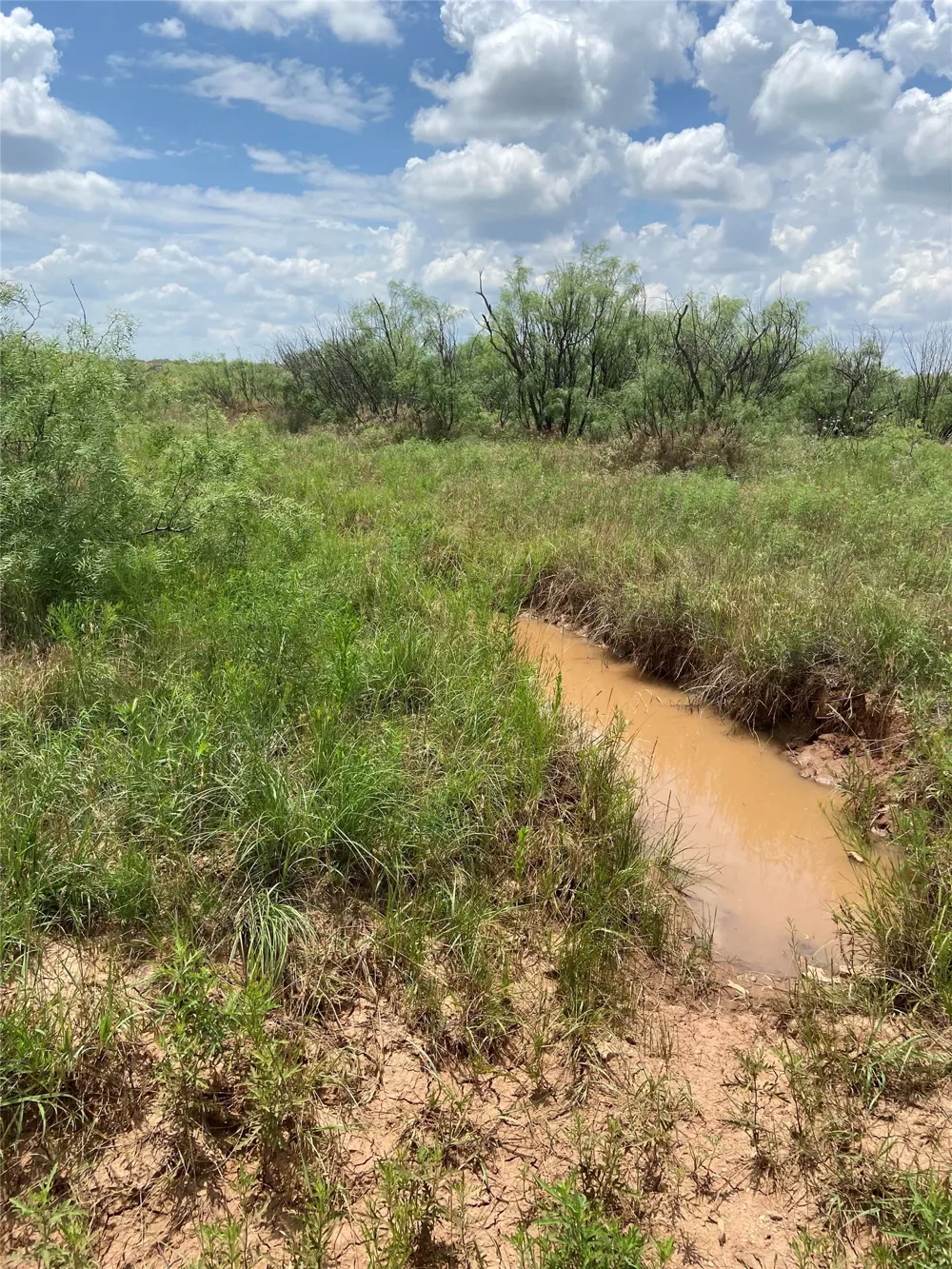 CR 218 Seymour, TX 76380