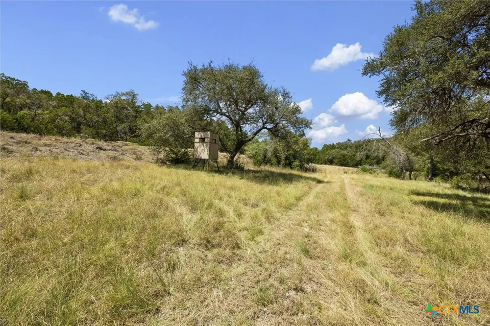 1920 The Low Road San Marcos, TX 78666