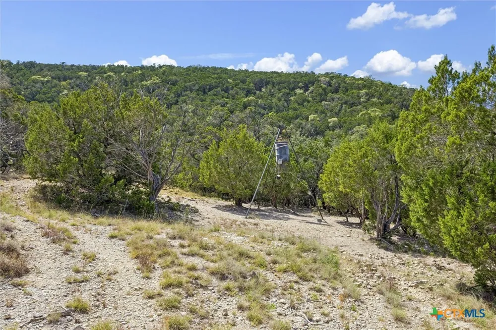 1920 The Low Road San Marcos, TX 78666