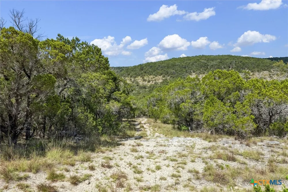 1920 The Low Road San Marcos, TX 78666