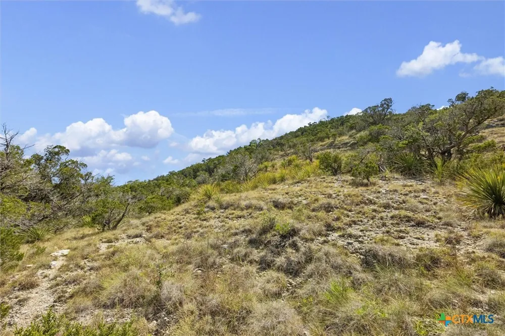 1920 The Low Road San Marcos, TX 78666