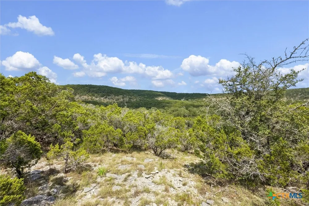 1920 The Low Road San Marcos, TX 78666