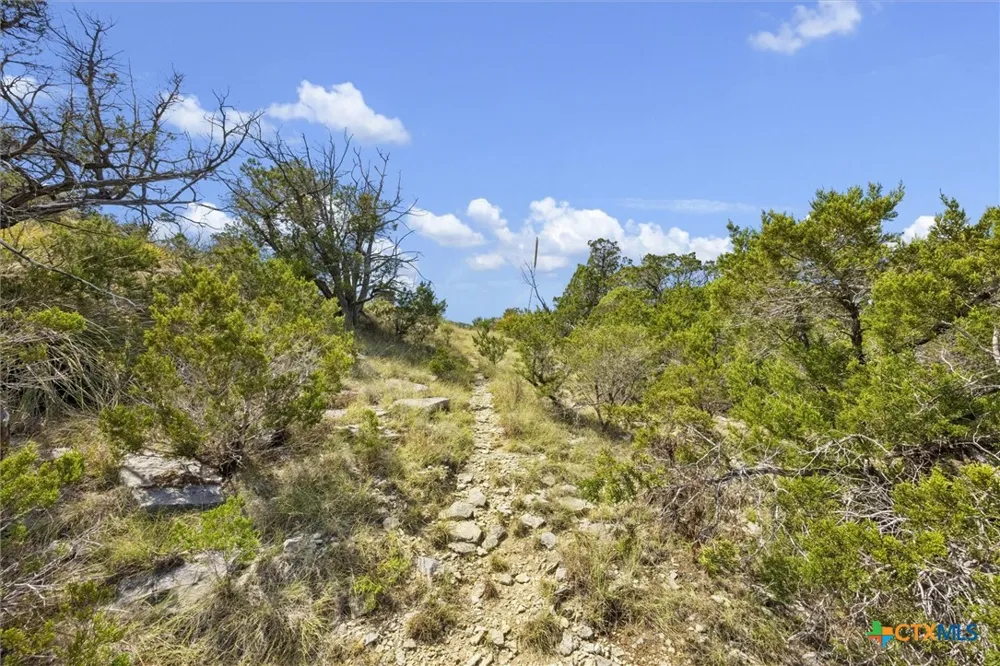 1920 The Low Road San Marcos, TX 78666