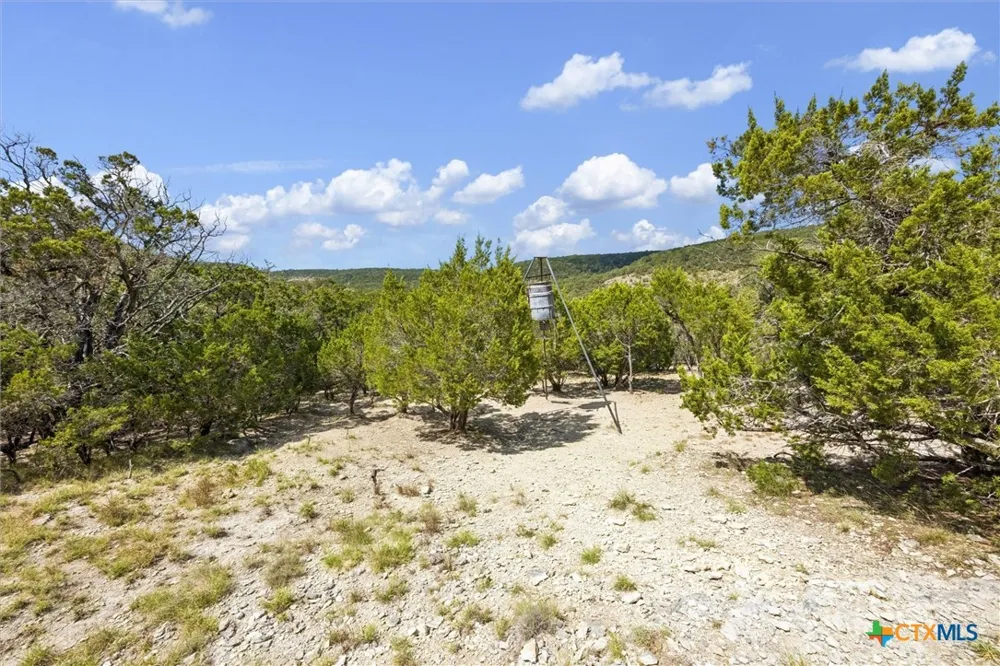 1920 The Low Road San Marcos, TX 78666