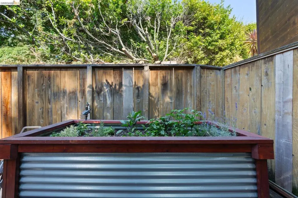 66 Arlington Court Kensington, CA 94707
