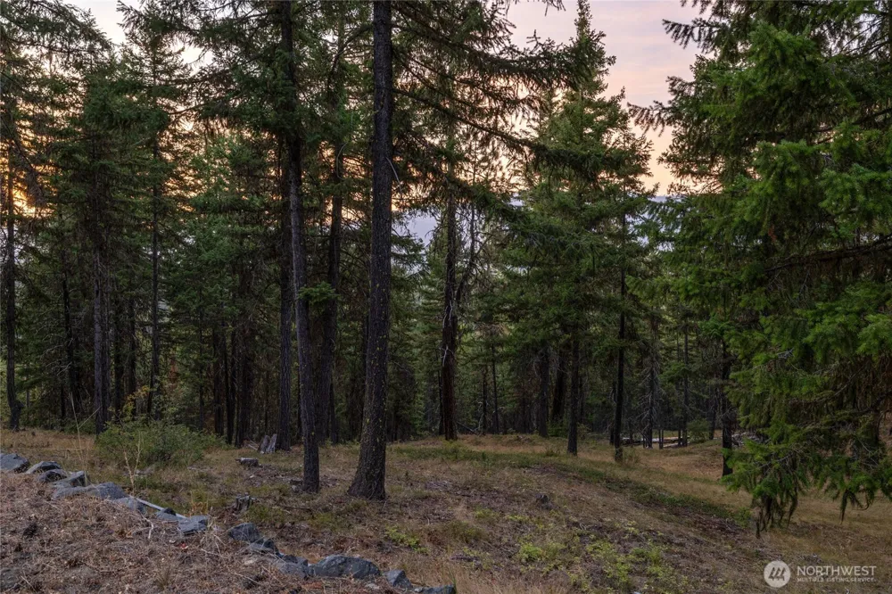 0 XXX Forest Service Road 114 Road Cle Elum, WA 98922
