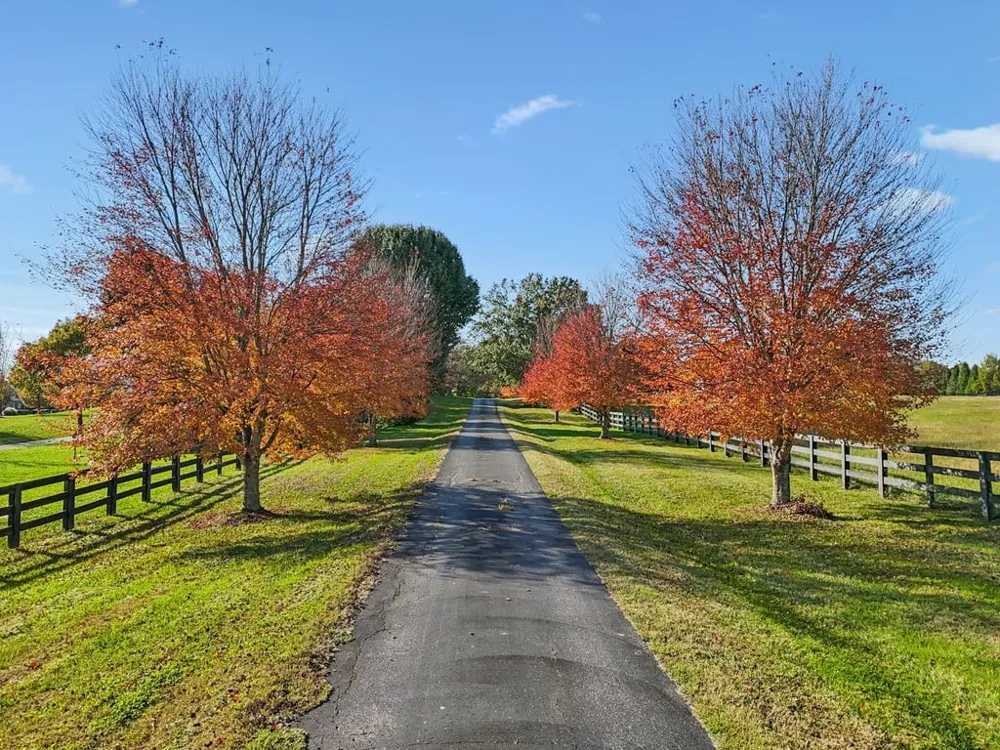 6435 Eudailey Covington Rd College Grove, TN 37046