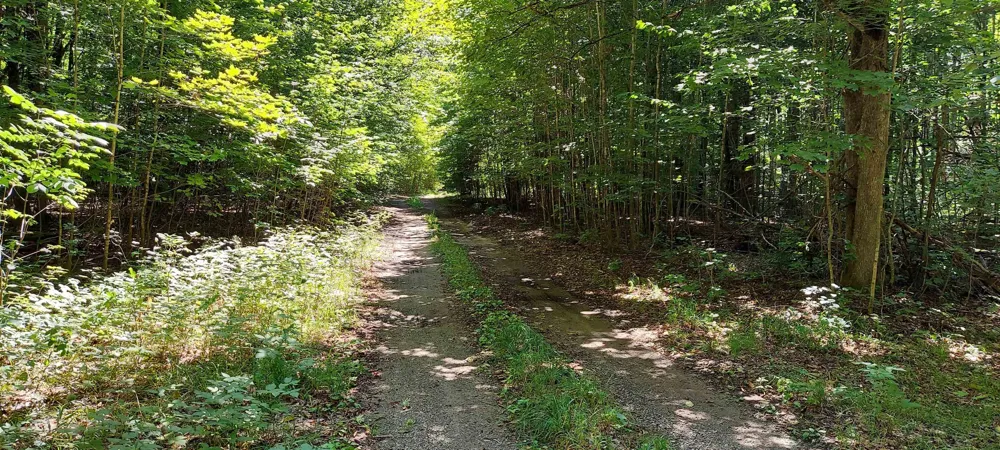 3623 DB TRAIL Custer Township, MI 49615
