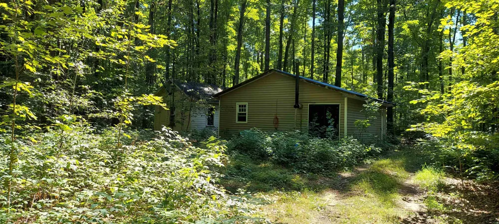 3623 DB TRAIL Custer Township, MI 49615