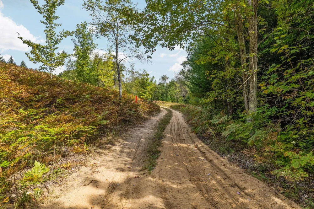3623 DB TRAIL Custer Township, MI 49615