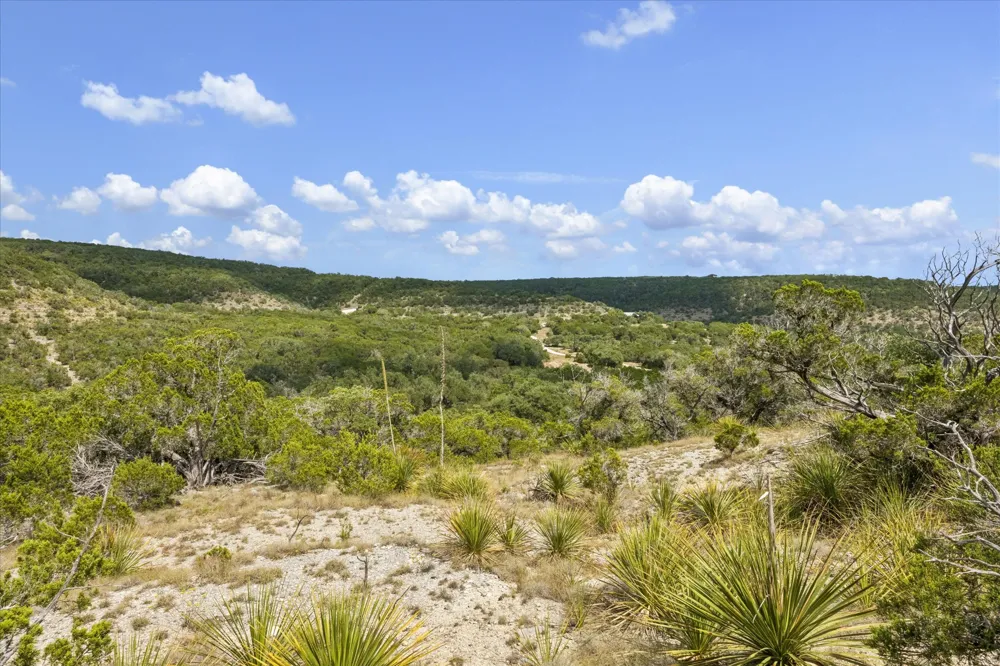 1920 The Low Road San Marcos, TX 78666