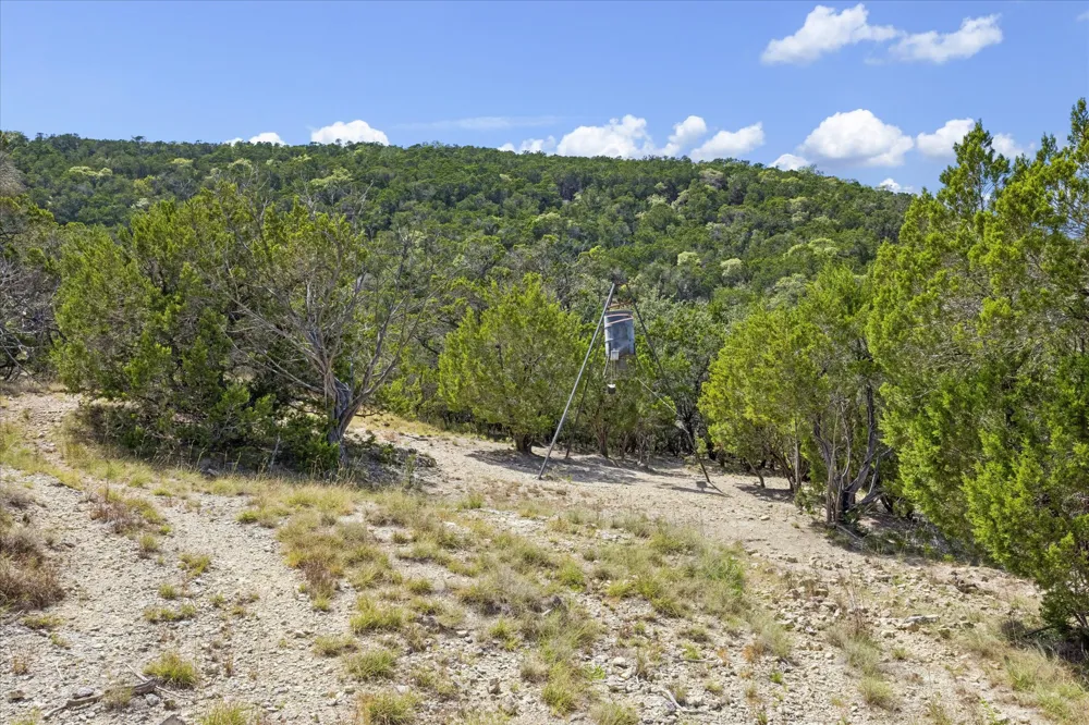 1920 The Low Road San Marcos, TX 78666