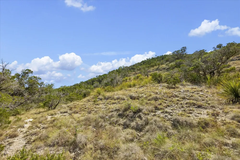1920 The Low Road San Marcos, TX 78666