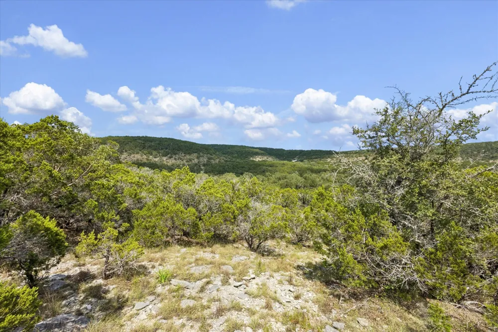 1920 The Low Road San Marcos, TX 78666