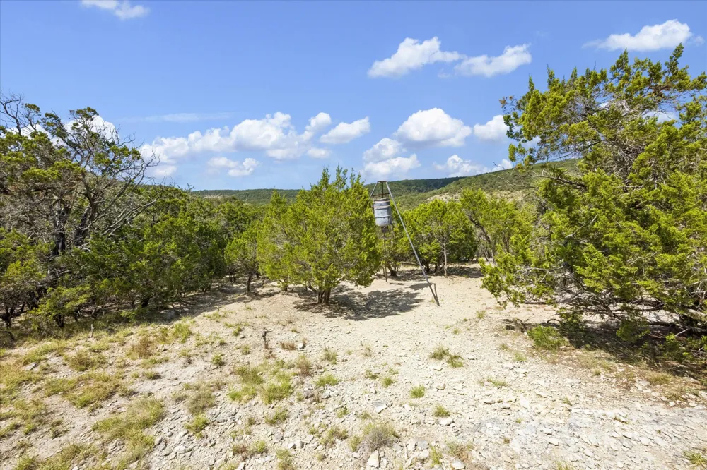 1920 The Low Road San Marcos, TX 78666