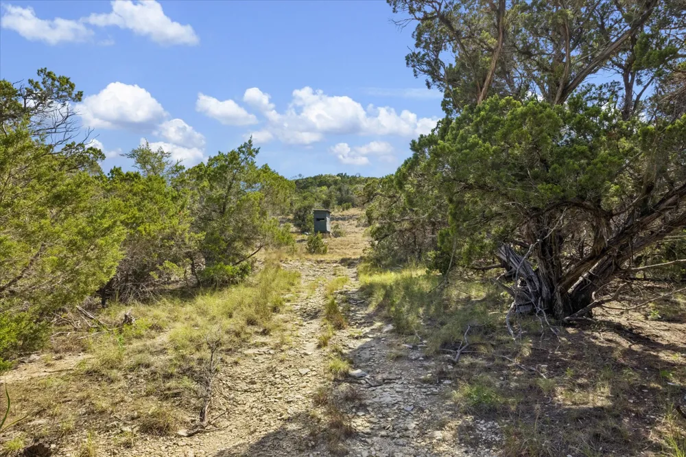 1920 The Low Road San Marcos, TX 78666
