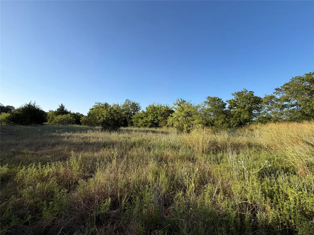 13305 Greengrove Lane Dallas, TX 75253