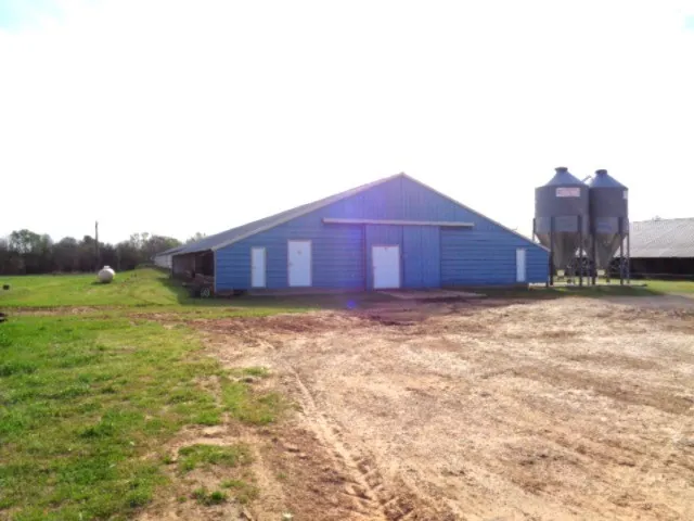 Zebra Winnsboro, TX 75494